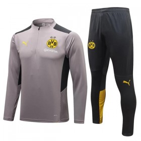 BVB Borussia Dortmund Sudadera De Entrenamiento Trajes 2022/23 Gris Claro Quarter-Zip - Hombre